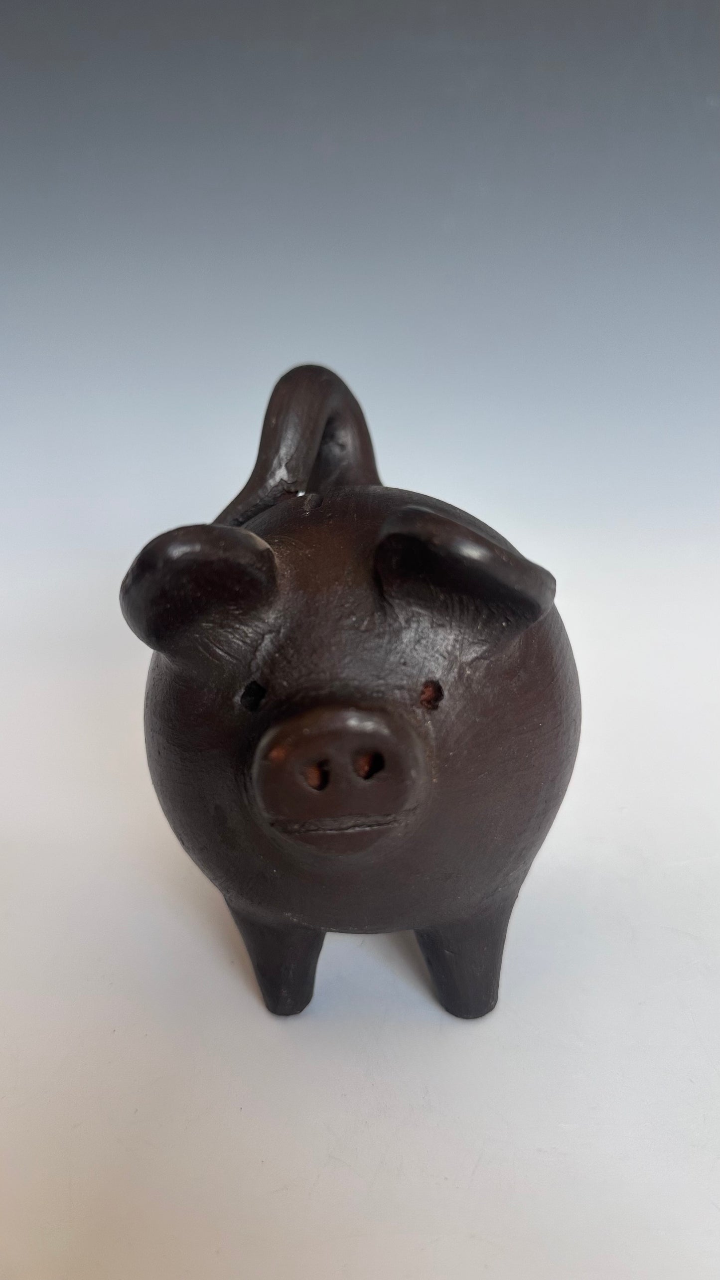 Piggy Bank - Chanchito de greda